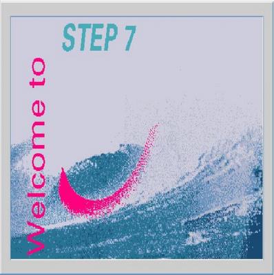 STEP 7 PROFESSIONAL V14 DVD2