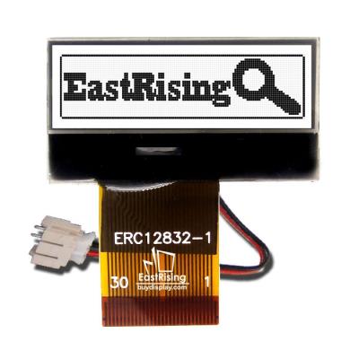 ERC12832FS-1