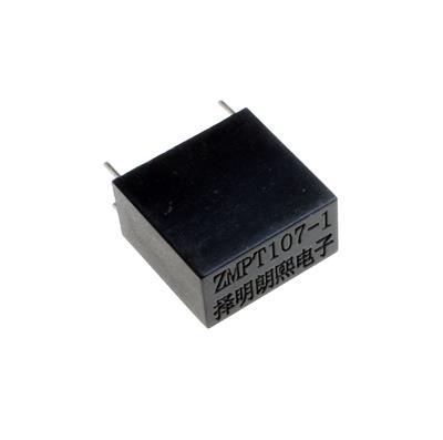 ZMPT107-1