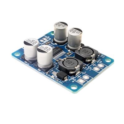 TPA3118 MODULE | ماژول آمپلی فایر ۶۰ وات مونو 