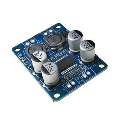 TPA3118 MODULE | ماژول آمپلی فایر ۶۰ وات مونو 