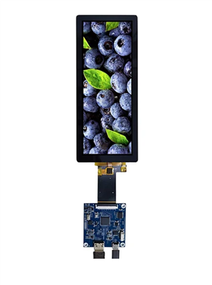 K003511-VS458002C40-T+VS-RGB21-V06