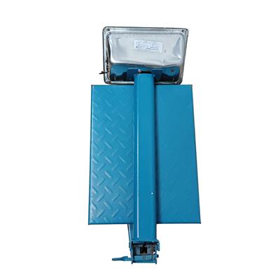 ELECTRONIC PLATFORM SCALE | TCS-100