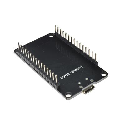 ESP32 MODULE