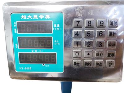 ELECTRONIC PLATFORM SCALE | TCS-100